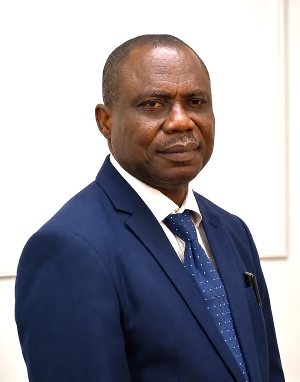 Olugbenga E. Ajayi